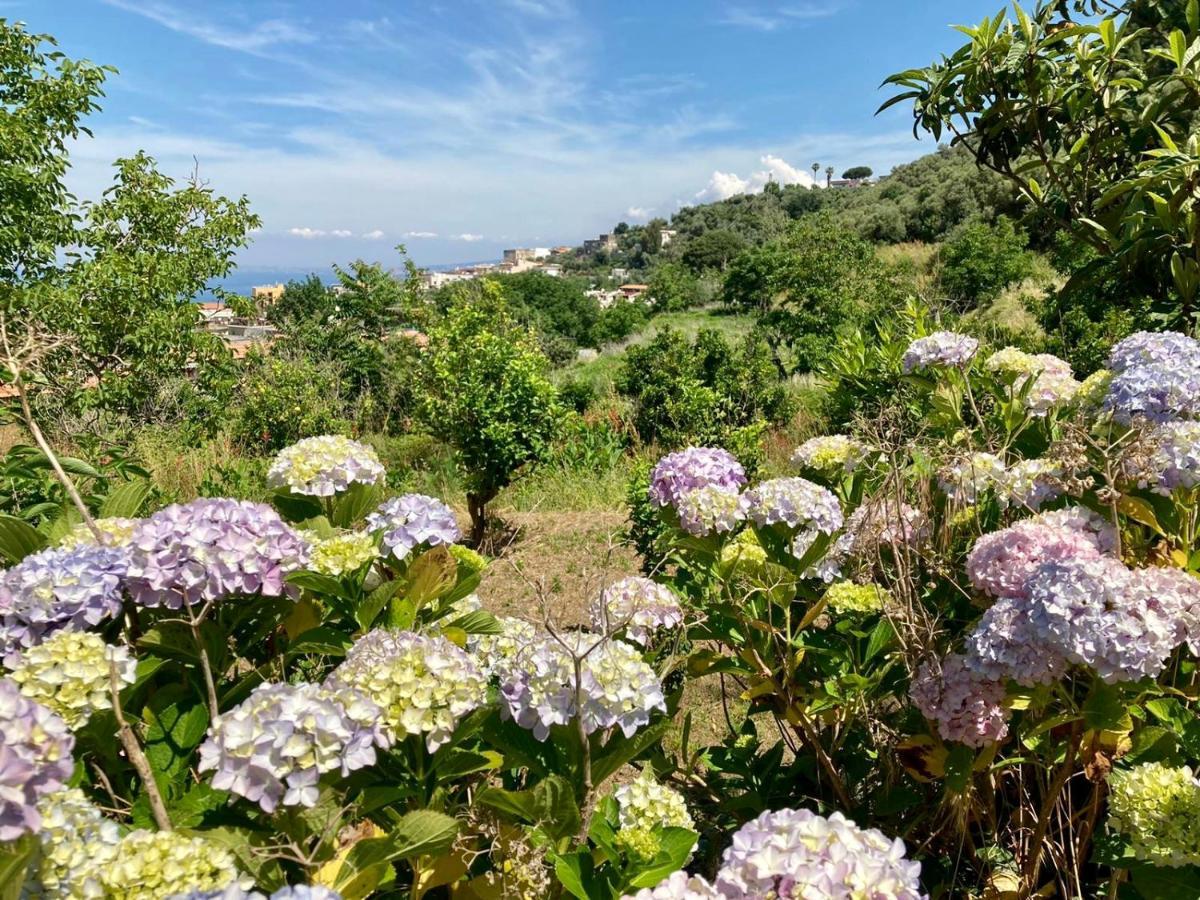 Ricomincio Da Te Villa Vico Equense Buitenkant foto