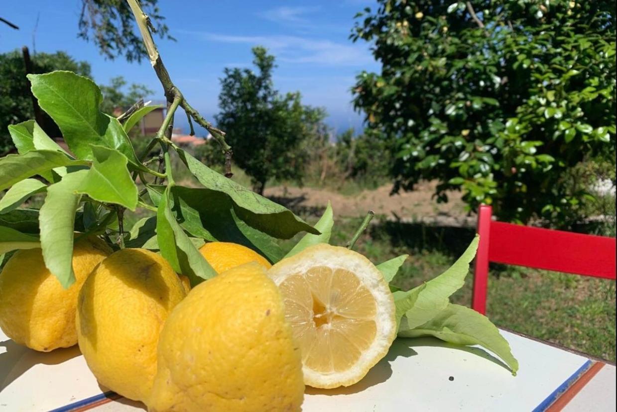 Ricomincio Da Te Villa Vico Equense Buitenkant foto